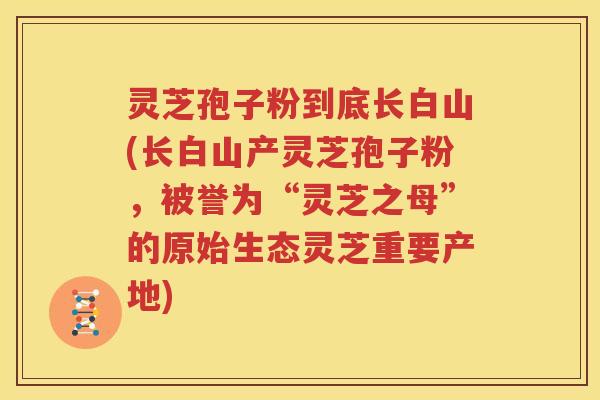 灵芝孢子粉到底长白山(长白山产灵芝孢子粉，被誉为“灵芝之母”的原始生态灵芝重要产地)