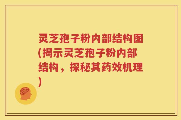 灵芝孢子粉内部结构图(揭示灵芝孢子粉内部结构，探秘其药效机理)