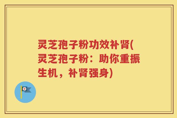 灵芝孢子粉功效补肾(灵芝孢子粉：助你重振生机，补肾强身)