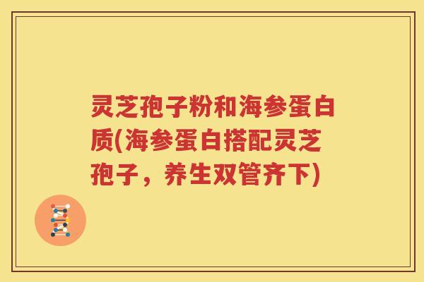 灵芝孢子粉和海参蛋白质(海参蛋白搭配灵芝孢子，养生双管齐下)