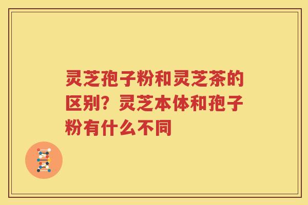 灵芝孢子粉和灵芝茶的区别？灵芝本体和孢子粉有什么不同