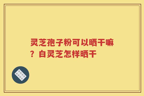 灵芝孢子粉可以晒干嘛？白灵芝怎样晒干