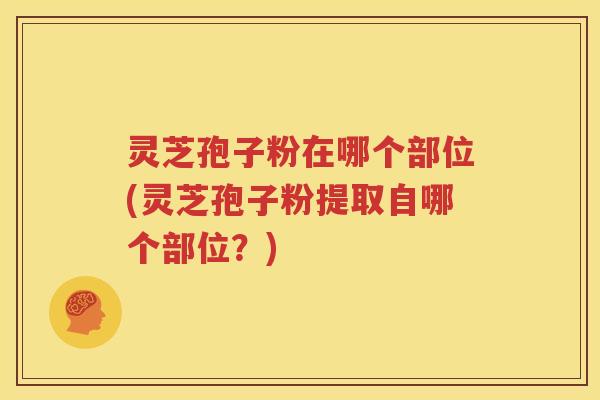 灵芝孢子粉在哪个部位(灵芝孢子粉提取自哪个部位？)