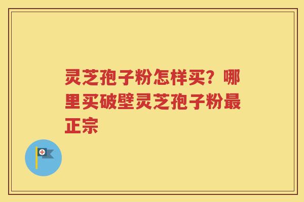 灵芝孢子粉怎样买？哪里买破壁灵芝孢子粉最正宗