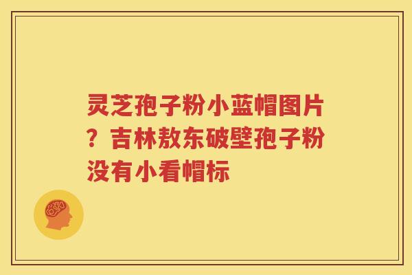 灵芝孢子粉小蓝帽图片？吉林敖东破壁孢子粉没有小看帽标