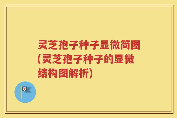 灵芝孢子种子显微简图(灵芝孢子种子的显微结构图解析)