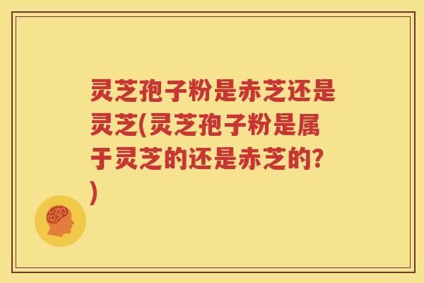 灵芝孢子粉是赤芝还是灵芝(灵芝孢子粉是属于灵芝的还是赤芝的？)