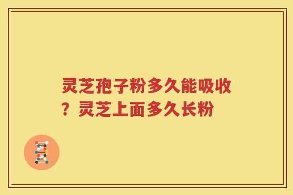 灵芝孢子粉多久能吸收？灵芝上面多久长粉