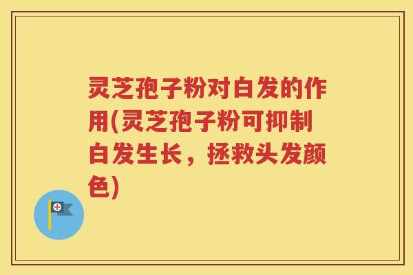 灵芝孢子粉对白发的作用(灵芝孢子粉可抑制白发生长，拯救头发颜色)
