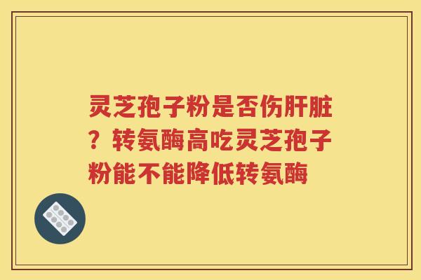 灵芝孢子粉是否伤肝脏？转氨酶高吃灵芝孢子粉能不能降低转氨酶