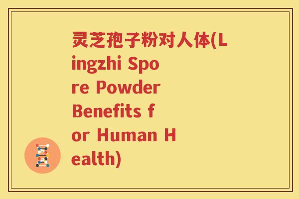 灵芝孢子粉对人体(Lingzhi Spore Powder Benefits for Human Health)