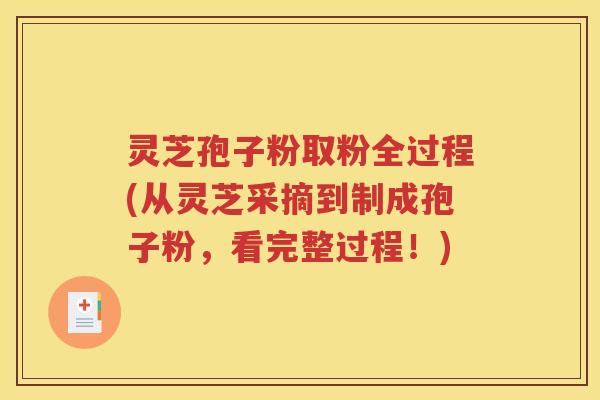 灵芝孢子粉取粉全过程(从灵芝采摘到制成孢子粉，看完整过程！)