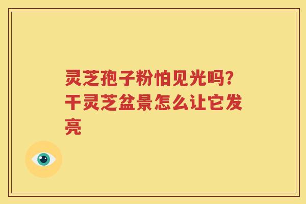 灵芝孢子粉怕见光吗？干灵芝盆景怎么让它发亮