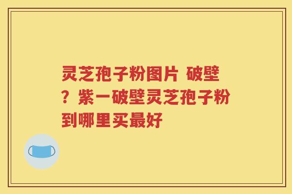 灵芝孢子粉图片 破壁？紫一破壁灵芝孢子粉到哪里买最好