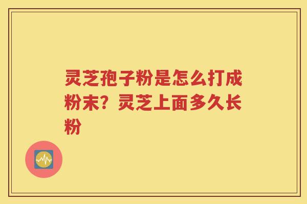灵芝孢子粉是怎么打成粉末？灵芝上面多久长粉
