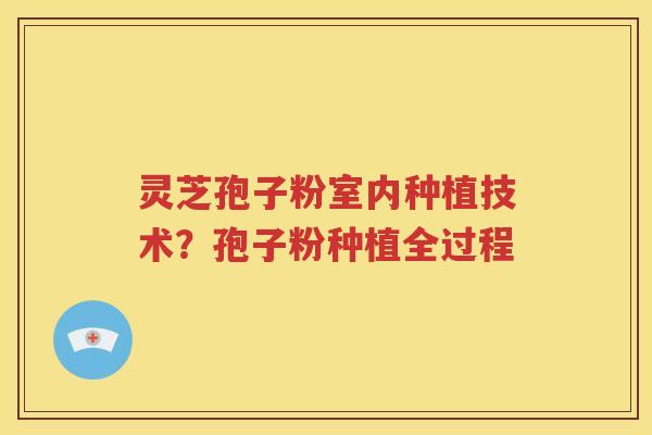灵芝孢子粉室内种植技术？孢子粉种植全过程