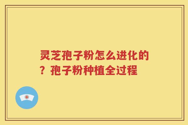 灵芝孢子粉怎么进化的？孢子粉种植全过程