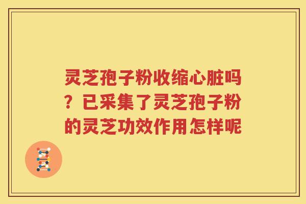 灵芝孢子粉收缩心脏吗？已采集了灵芝孢子粉的灵芝功效作用怎样呢