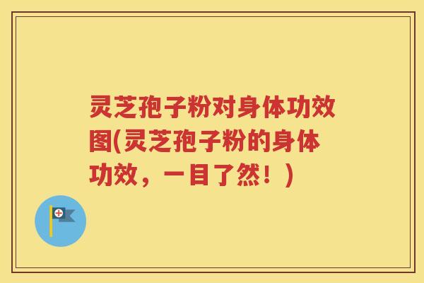 灵芝孢子粉对身体功效图(灵芝孢子粉的身体功效，一目了然！)
