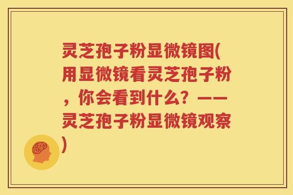 灵芝孢子粉显微镜图(用显微镜看灵芝孢子粉，你会看到什么？——灵芝孢子粉显微镜观察)
