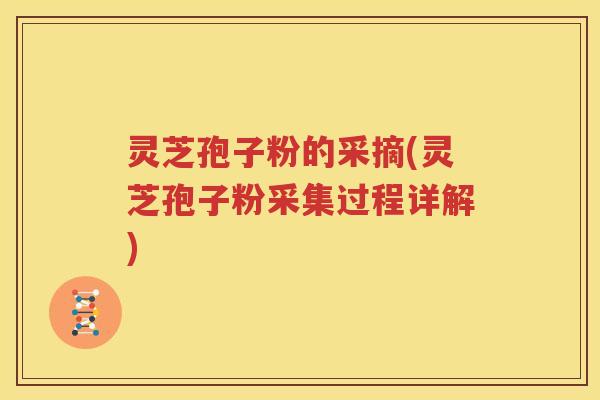 灵芝孢子粉的采摘(灵芝孢子粉采集过程详解)