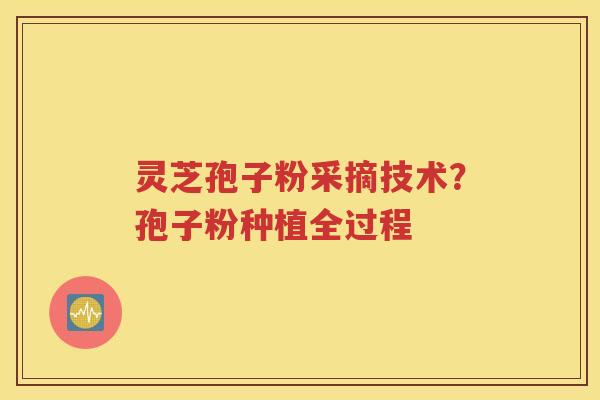 灵芝孢子粉采摘技术？孢子粉种植全过程