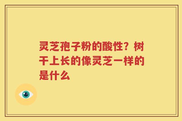 灵芝孢子粉的酸性？树干上长的像灵芝一样的是什么