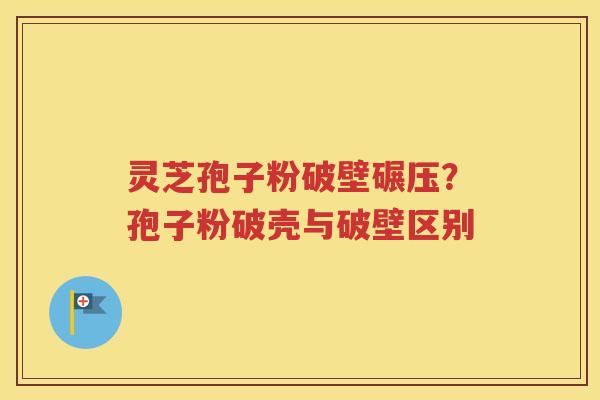 灵芝孢子粉破壁碾压？孢子粉破壳与破壁区别