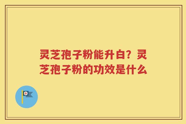 灵芝孢子粉能升白？灵芝孢子粉的功效是什么