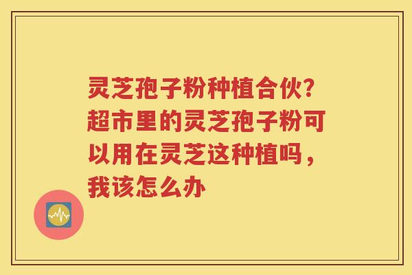 灵芝孢子粉种植合伙？超市里的灵芝孢子粉可以用在灵芝这种植吗，我该怎么办