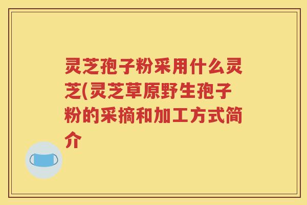 灵芝孢子粉采用什么灵芝(灵芝草原野生孢子粉的采摘和加工方式简介