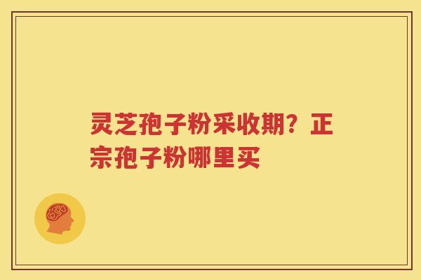 灵芝孢子粉采收期？正宗孢子粉哪里买