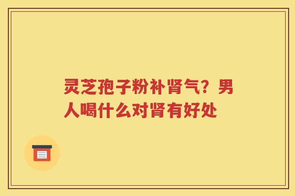 灵芝孢子粉补肾气？男人喝什么对肾有好处