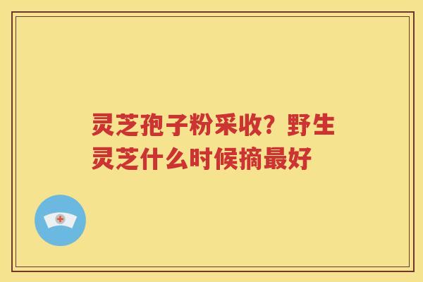 灵芝孢子粉采收？野生灵芝什么时候摘最好