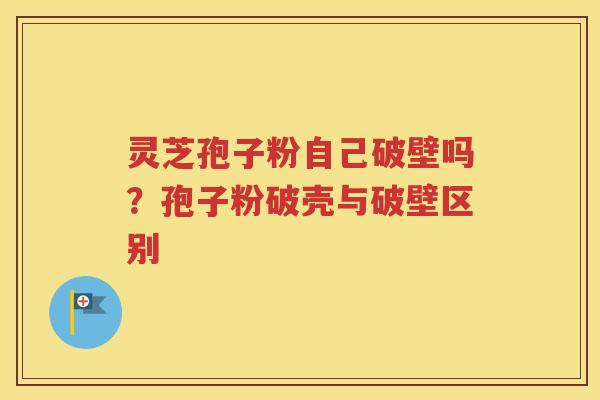 灵芝孢子粉自己破壁吗？孢子粉破壳与破壁区别