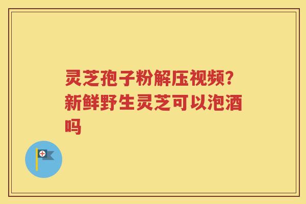 灵芝孢子粉解压视频？新鲜野生灵芝可以泡酒吗