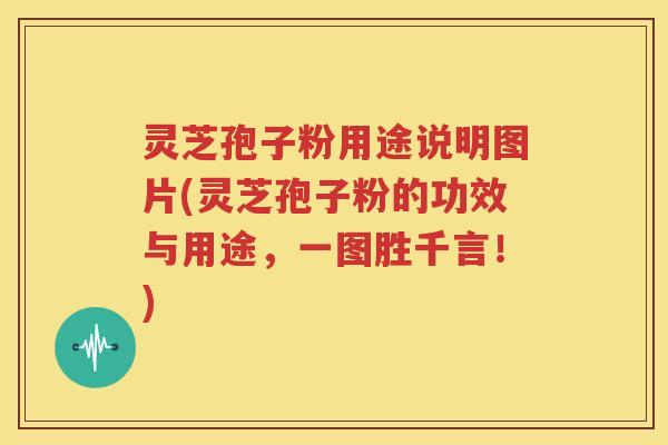 灵芝孢子粉用途说明图片(灵芝孢子粉的功效与用途，一图胜千言！)