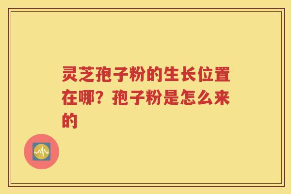 灵芝孢子粉的生长位置在哪？孢子粉是怎么来的