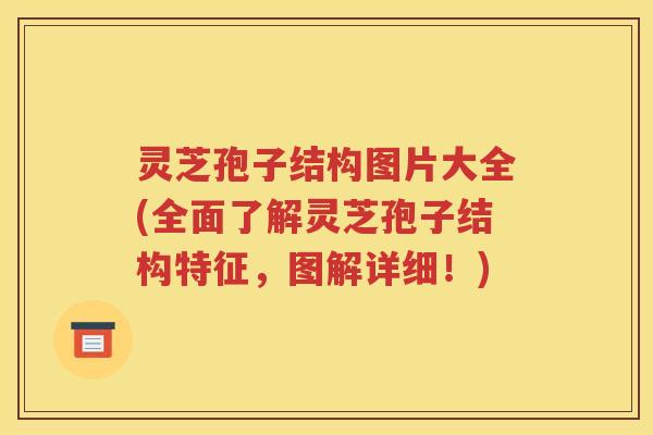 灵芝孢子结构图片大全(全面了解灵芝孢子结构特征，图解详细！)