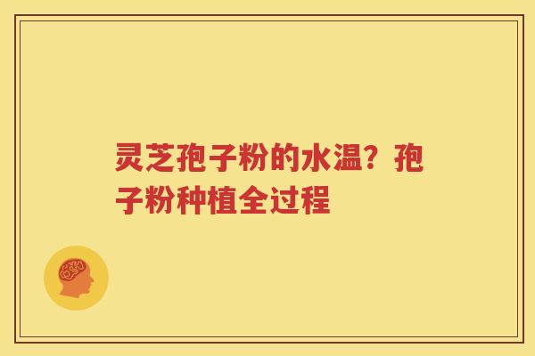 灵芝孢子粉的水温？孢子粉种植全过程