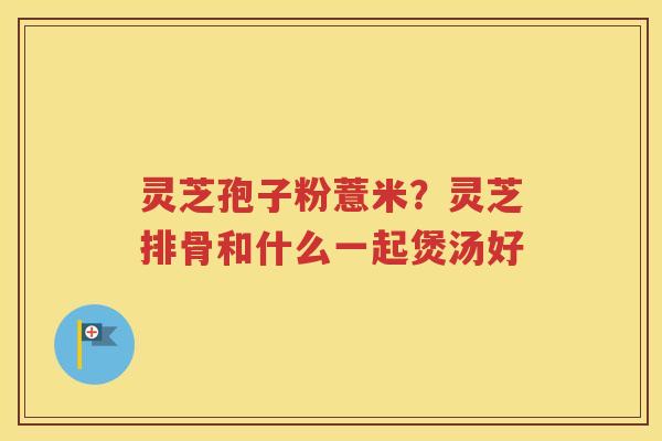 灵芝孢子粉薏米？灵芝排骨和什么一起煲汤好