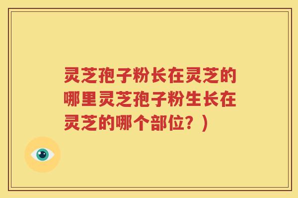 灵芝孢子粉长在灵芝的哪里灵芝孢子粉生长在灵芝的哪个部位？)