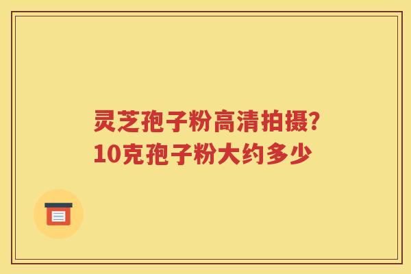 灵芝孢子粉高清拍摄？10克孢子粉大约多少