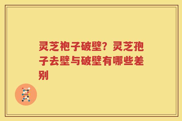 灵芝袍子破壁？灵芝孢子去壁与破壁有哪些差别