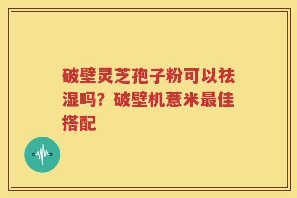破壁灵芝孢子粉可以祛湿吗？破壁机薏米最佳搭配