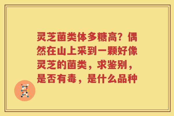 灵芝菌类体多糖高？偶然在山上采到一颗好像灵芝的菌类，求鉴别，是否有毒，是什么品种
