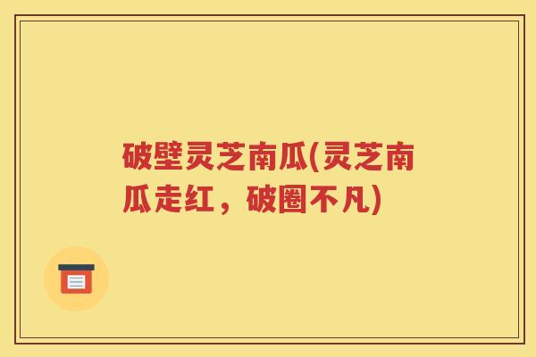 破壁灵芝南瓜(灵芝南瓜走红，破圈不凡)