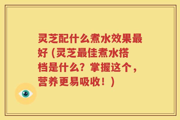 灵芝配什么煮水效果最好 (灵芝最佳煮水搭档是什么？掌握这个，营养更易吸收！)