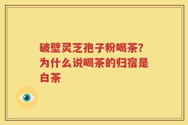 破壁灵芝孢子粉喝茶？为什么说喝茶的归宿是白茶