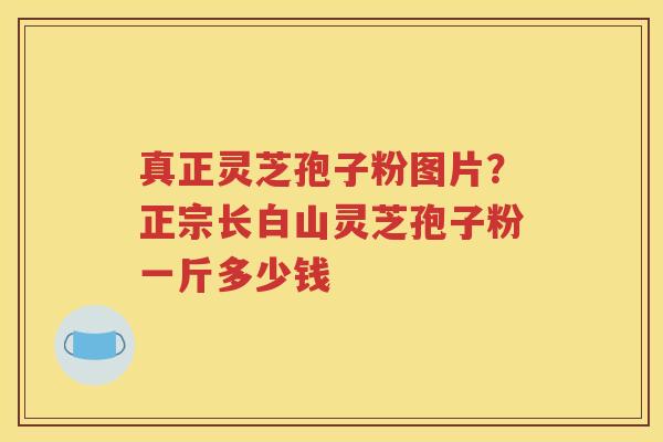 真正灵芝孢子粉图片？正宗长白山灵芝孢子粉一斤多少钱